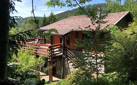 Chalet Braunkopf Alsace